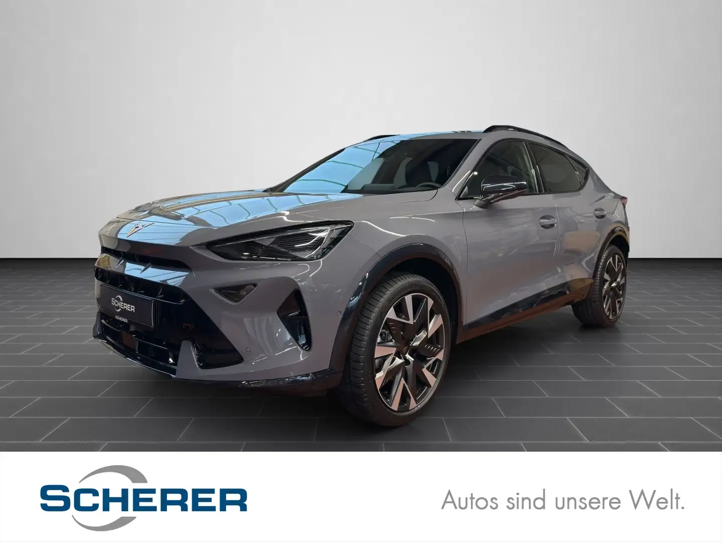 CUPRA Formentor 1.5 eTSI DSG AHK 5J-Garantie Pano Edg Grau - 1