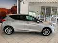 Ford Fiesta 5-Türer 1.0 EcoBoost TITANIUM NAVI/KAMERA Zilver - thumbnail 3