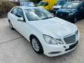 Mercedes-Benz E 200 E 200 CDI BlueEFFICIENCY ELEGANCE *PDC/Tempomat Wit - thumbnail 6