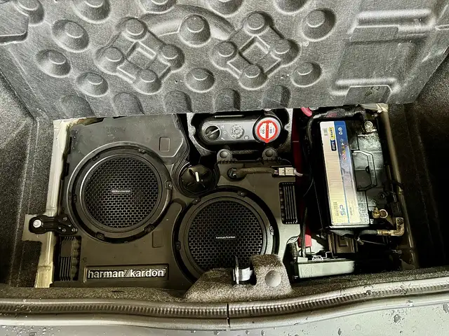 Dodge Challenger SRT Hellcat Widebody 6,2 V8 Ansicht 18