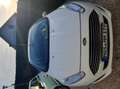 Ford Fiesta 3p 1.0 ecoboost Titanium 100cv E6 - thumbnail 8