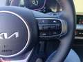 Kia Sportage Sportage 1.6 TGDi GPL Business Grigio - thumbnail 17