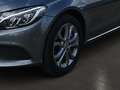 Mercedes-Benz C 250 T-Modell Avantgarde 4Matic/NAVI/AHK/LED/ Grigio - thumbnail 6