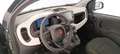 Fiat Panda 1.0 70cv Hybrid Panda Vert - thumbnail 10