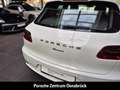 Porsche Macan Pano AHK 20-Zoll 14-Wege SportDesign Paket  SportD Weiß - thumbnail 38