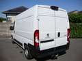 Opel Movano 2.2 tdci, L2H2, camera, airco, 2023, btw in, apple Blanc - thumbnail 4