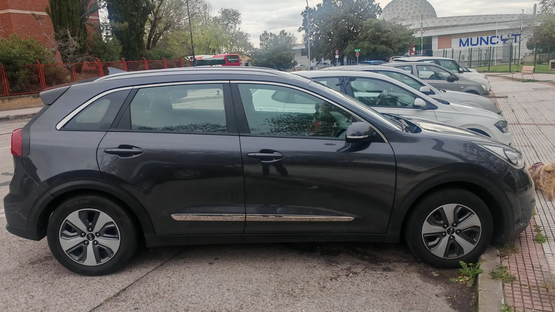 Kia Niro Drive PHEV 1.6 GDi 104kW Gris - 2