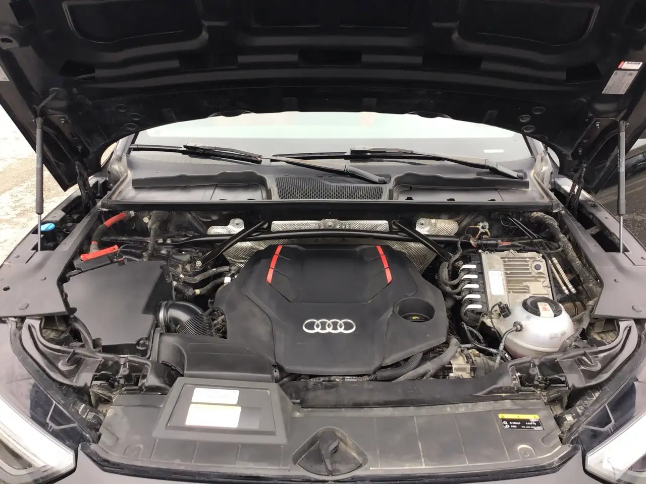 Audi SQ5 снимка Audi SQ5