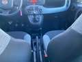 Fiat Panda 1.0 firefly hybrid s&s 70cv 5pti GPL - PROMO Grigio - thumbnail 12