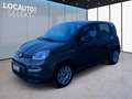 Fiat Panda 1.0 firefly hybrid s&s 70cv 5pti GPL - PROMO Grijs - thumbnail 20