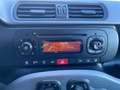 Fiat Panda 1.0 firefly hybrid s&s 70cv 5pti GPL - PROMO Grigio - thumbnail 10