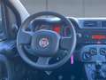 Fiat Panda 1.0 firefly hybrid s&s 70cv 5pti GPL - PROMO Gris - thumbnail 13