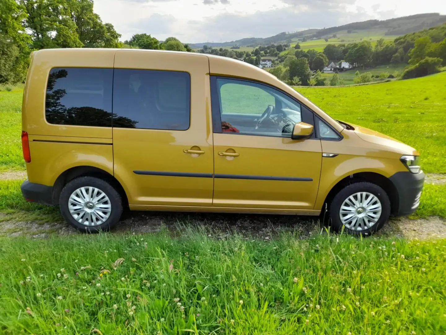 Volkswagen Caddy Caddy 2.0 TDI (5-Si.) DSG Trendline Gelb - 1