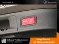 Mercedes-Benz GLA 200 d Progressive/LED/AHK/DISTRONIC/RfCam/EDW Grau - thumbnail 10