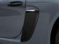 Porsche 718 Spyder RS Gris - thumbnail 30
