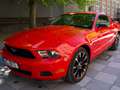 Ford Mustang V6 3.7L Rood - thumbnail 11