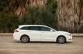 Ford Mondeo 1.5 TDCi 120CV Trend SportBreak Weiß - thumbnail 6