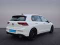 Volkswagen Golf VIII GTI 2.0 TSI DSG +PANOD+LEDER+NAVI+BLACKSTYLE Weiß - thumbnail 7