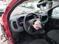 Fiat Panda Panda Cross 1.0 hybrid City Cross SINISTRATA Rot - thumbnail 13