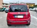 Fiat Panda Panda Cross 1.0 hybrid City Cross SINISTRATA Rot - thumbnail 5