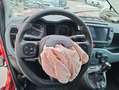 Fiat Panda Panda Cross 1.0 hybrid City Cross SINISTRATA Rot - thumbnail 10
