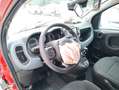Fiat Panda Panda Cross 1.0 hybrid City Cross SINISTRATA Rot - thumbnail 9