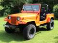 Jeep Wrangler YJ 4,2 H- Zulassung Oranj - thumbnail 6