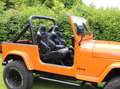 Jeep Wrangler YJ 4,2 H- Zulassung Pomarańczowy - thumbnail 3