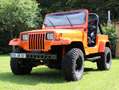 Jeep Wrangler YJ 4,2 H- Zulassung Oranje - thumbnail 11