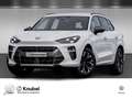 CUPRA Terramar 1.5 eTSI DSG Navi Keyless AreaView TravelAss. Bianco - thumbnail 1