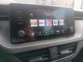 Skoda Kamiq Kamiq 1.0 tsi Ambition 110cv dsg Blu/Azzurro - thumbnail 12