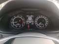 Skoda Kamiq Kamiq 1.0 tsi Ambition 110cv dsg Blu/Azzurro - thumbnail 13