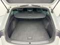 CUPRA Leon SPORTSTOURER 1.5 HYBRID 150CV DSG *ACC* ONLYPROMO! Wit - thumbnail 10