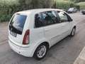 Lancia MUSA Musa 1.4 8v Platinum ecochic Gpl Bianco - thumbnail 11