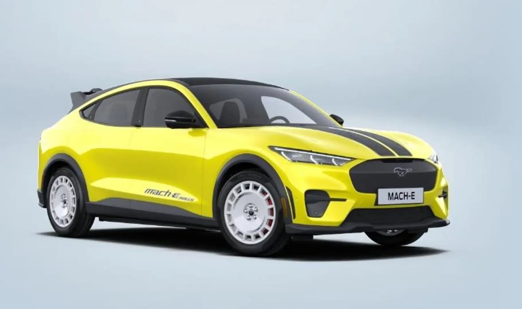 Ford Mustang Mach-E 98kWh Extended AWD Rally | FORDS MEEST SPECTACULAI Amarillo - 2