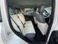Fiat Panda 1.2 LOUNGE CLIMA 99000KM Grigio - thumbnail 12