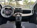 Fiat Panda 1.2 LOUNGE CLIMA 99000KM Grigio - thumbnail 9