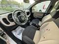 Fiat Panda 1.2 LOUNGE CLIMA 99000KM Grigio - thumbnail 6