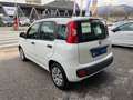 Fiat Panda 1.3 MJT S&S Pop    ideale per neopatentati Bílá - thumbnail 4