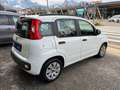 Fiat Panda 1.3 MJT S&S Pop    ideale per neopatentati Bílá - thumbnail 3