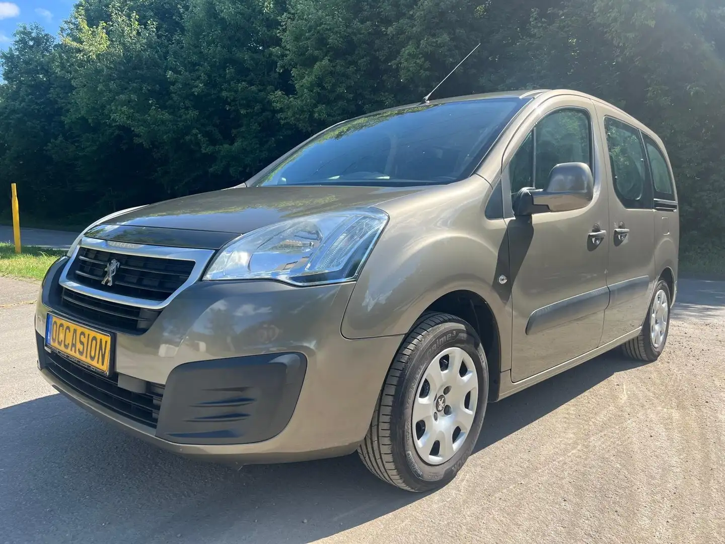 Peugeot Partner Partner Tepee 110 Stop Gris - 1