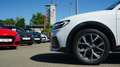 Audi A1 30 citycarver 1.0 TFSI LED Sitzheizung ACC Blanc - thumbnail 8