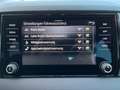 Skoda Karoq Selection 1.5 TSI DSG LED KAMERA SHZ PDC Grau - thumbnail 20