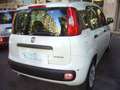 Fiat Panda 1.0 FireFly S&S Hybrid 5°posto Pack City Km0 Wit - thumbnail 6