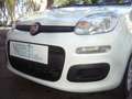 Fiat Panda 1.0 FireFly S&S Hybrid 5°posto Pack City Km0 Wit - thumbnail 3