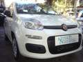 Fiat Panda 1.0 FireFly S&S Hybrid 5°posto Pack City Km0 Wit - thumbnail 5