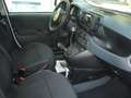 Fiat Panda 1.0 FireFly S&S Hybrid 5°posto Pack City Km0 Wit - thumbnail 24