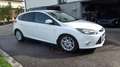 Ford Focus Focus Titanium 1,6 TDCi DPF Weiß - thumbnail 3