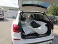 BMW X3 xDrive30d xLine Aut. Blanc - thumbnail 17