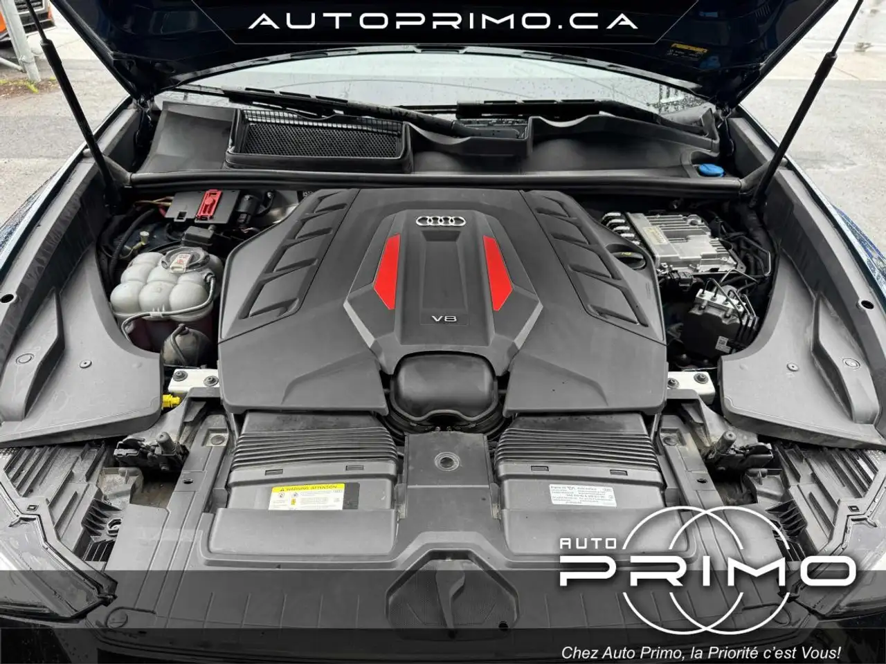 Audi SQ8 fotografie Audi SQ8